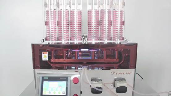 16142209199594694uk7.jpg image008.jpg