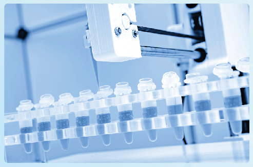 16473222032512893rmL.png image.png